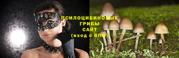 a pvp Володарск