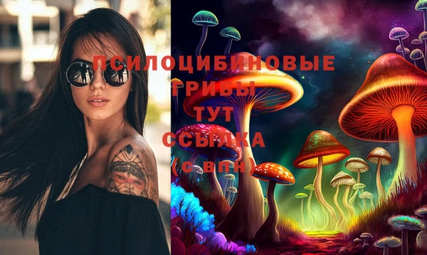 ECSTASY Вяземский