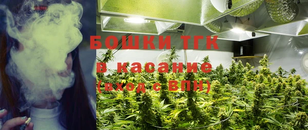 молекула духа Волоколамск