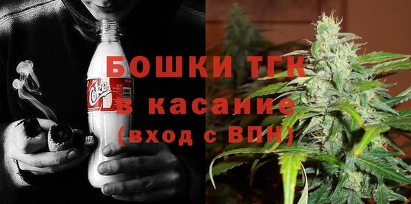 молекула духа Волоколамск