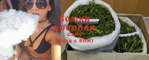 молекула духа Волоколамск